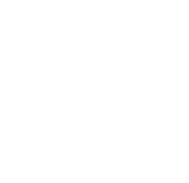 Haus_Icon